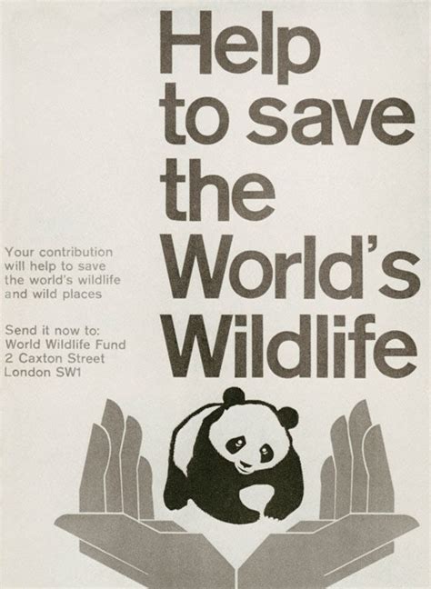 How the World Wildlife Fund logo was designed - Creative Review