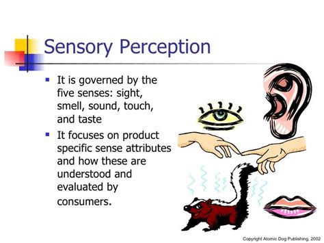 Examples of Sensory Perception | Memory, Learning & Perception | Teaching psychology, Perception ...