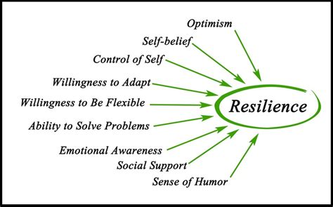 Resilience 101: Consciously Building Your Coping Skills Before Life ...