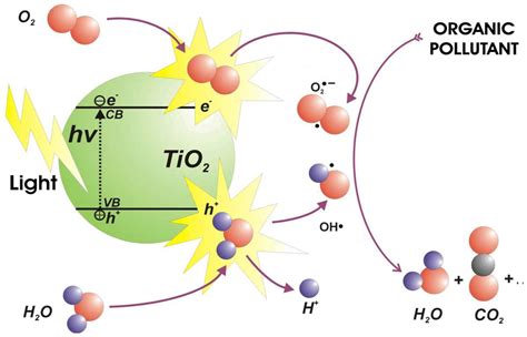 Catalysts | Free Full-Text | Heterogeneous Photocatalysis: Recent ...