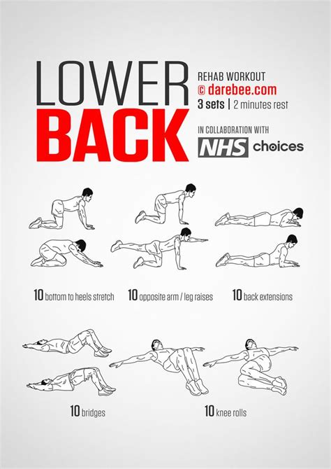 Simple Lower Back Workouts With Weights for Build Muscle | Fitness and Workout ABS Tutorial