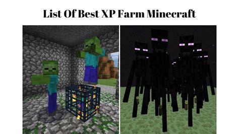 XP Farm Minecraft - Games Eshop