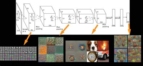 A Basic Introduction to Convolutional Neural Network