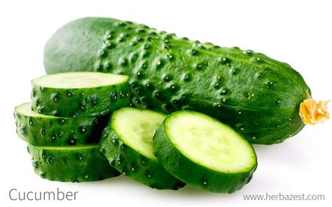 Cucumber | HerbaZest