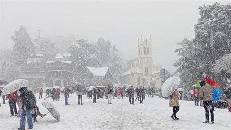 Snowfall In Shimla 2024 December - Aurel Caresse