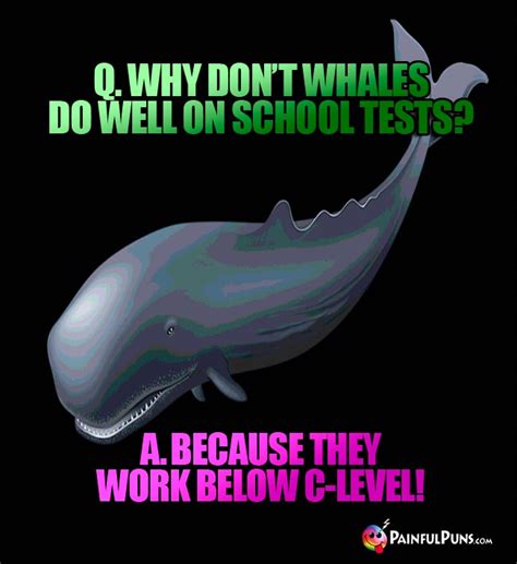 Whale Jokes, Orca Puns, Moby Dick Humor | PainfulPuns.com