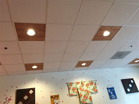 Great alternative to drop ceiling lighting | Drop ceiling lighting, Ceiling lights, Dropped ceiling