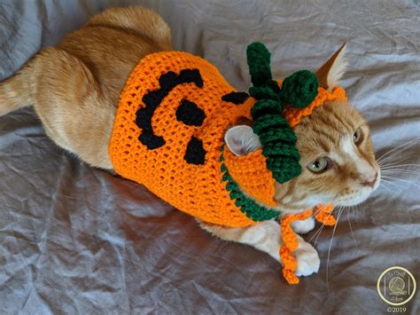 MADE TO ORDER Pumpkin Cat Costume/sweater with or Without Pumpkin Hat ...