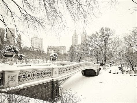 "Central Park Winter - Snowy Bridge And Skyline" by Stocksy Contributor ...