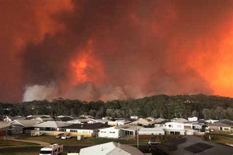 A Crisis of the Australia Bushfires: A Government’s Failure | Earth.Org