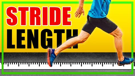 Awesome Tips About How To Increase Your Stride Length - Matehope54