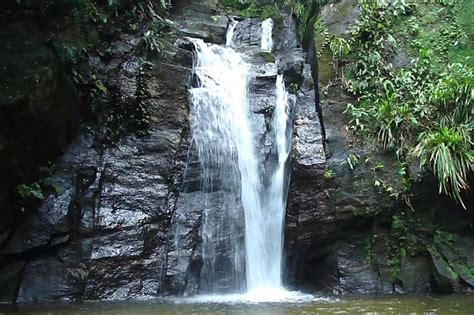 Tijuca Forest National Park Horto Waterfalls Circuit Adventure 2024 - Rio de Janeiro