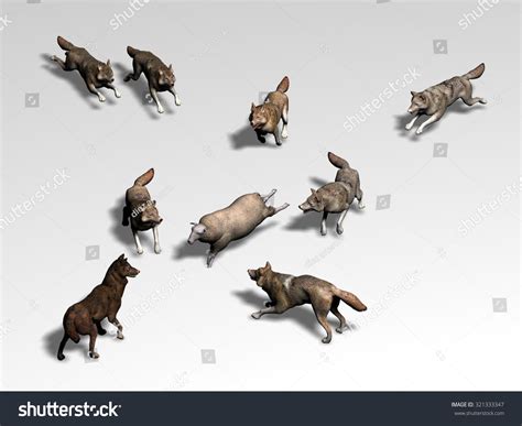 Pack Of Wolves Hunting A Sheep Stock Photo 321333347 : Shutterstock