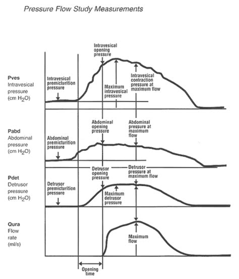 Women's Health and Education Center (WHEC) - Urodynamic Assessment: Voiding Studies