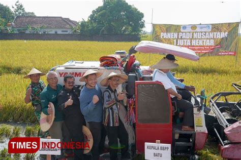 Panen Padi Nusantara Satu Juta Hektar, Kementan Berhasil Panen 832 Ton di Kabupaten Lamongan ...