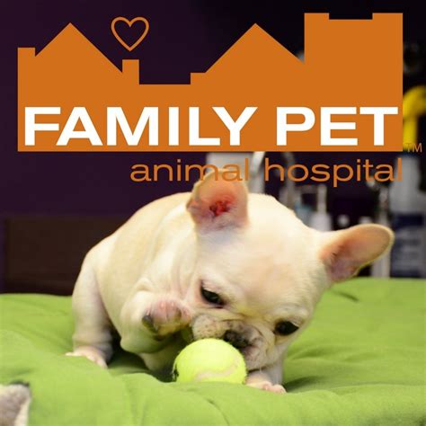 Veterinarians: FAMILY PET ANIMAL HOSPITAL - Updated October 2024 - 37 Photos & 206 Reviews ...