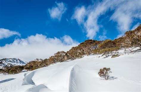 Kosciuszko National Park | NSW National Parks