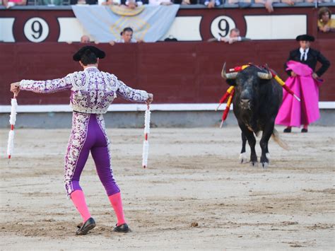 Las corridas de toros descienden un 31% en Madrid en los últimos diez años - Los Replicantes