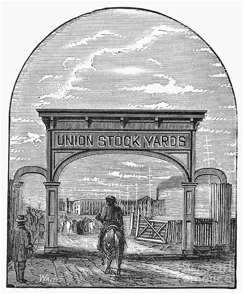 Chicago: Stockyards, 1878 Photograph by Granger - Fine Art America