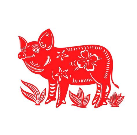 Year of the Pig | Chinese Zodiac: Pig | 2019 Fortune | by Pandarow | Medium