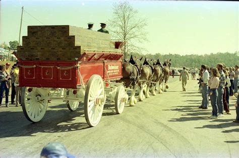 Budweiser Clydesdale 8 Horse Hitch at Road Atlanta | Flickr