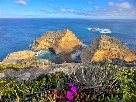 Visit the Seafood Capital of Australia: Port Lincoln, South Australia