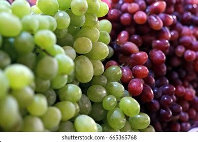 Healthy Fruits Red Wine Grapes Background Stock Photo 665365768 ...