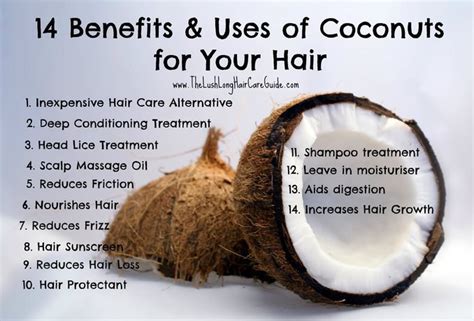 Why You Should Put Coconut Oil In Your Hair