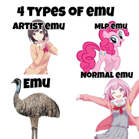 Emu meme by me in 2022 | Emu, Memes, Artist