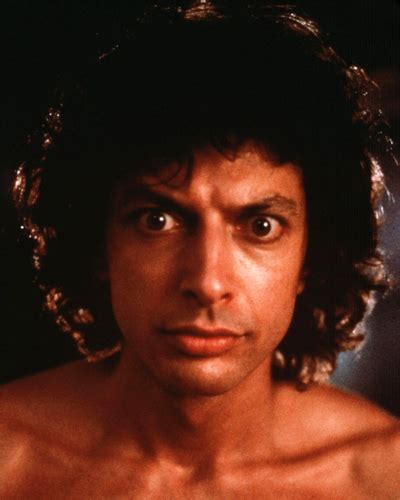 Goldblum, Jeff [The Fly] photo