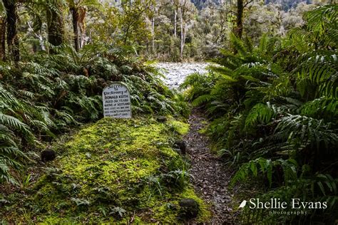 Hollyford Valley, Fiordland National Park, New Zealand | Flickr