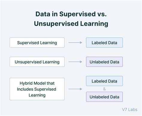 Supervised vs. Unsupervised Learning [Differences & Examples]