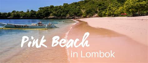 Pink Beach trip in Lombok