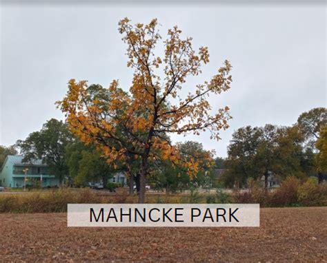 Mahncke Park