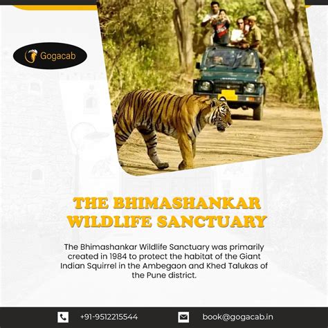 The Bhimashankar wildlife sanctuary - Best Taxi Booking Website. Book Taxi, Book Cab, Airport ...