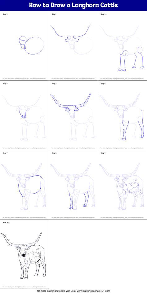 How to Draw a Longhorn Cattle (Farm Animals) Step by Step ...