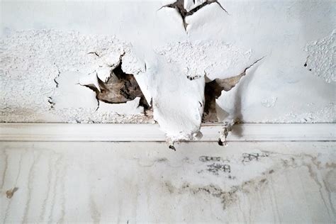 How Much Does Ceiling Water Damage Repair Cost in 2024? | Checkatrade