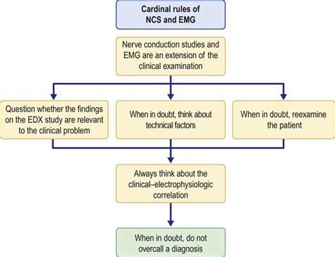 Approach to Nerve Conduction Studies and Electromyography | Neupsy Key