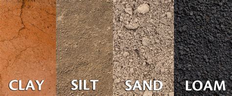 Physical Properties of Soil – FastGrowingTrees.com