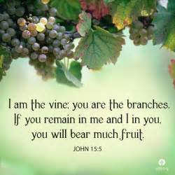 210 best (John 15:1-5, ESV) I am the true vine images on Pinterest ...