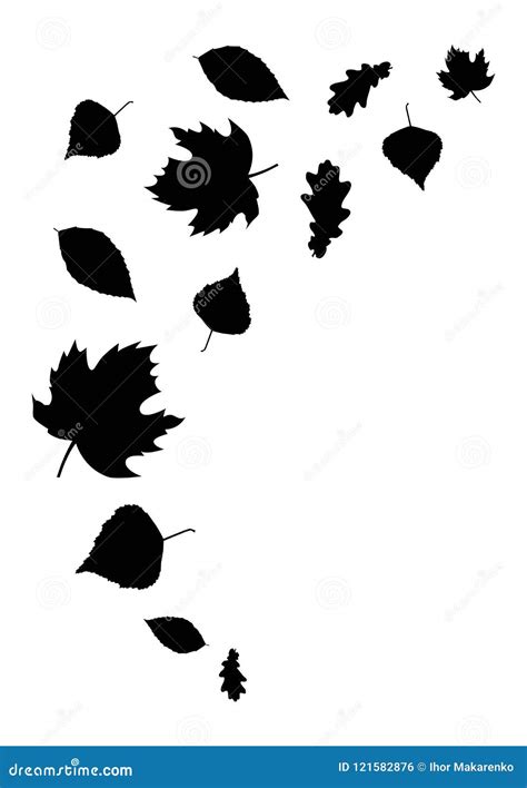 Black Autumn Leaves, Isolated on a White Stock Vector - Illustration of branch, gold: 121582876