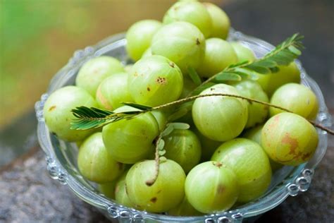 Indian Gooseberry Benefits: 10 Uses For This Native Asian Berry