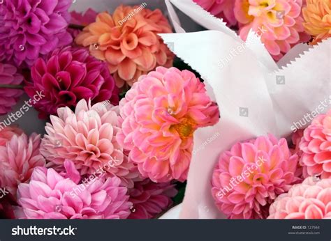 Dahlia Bouquets. Stock Photo 127944 : Shutterstock