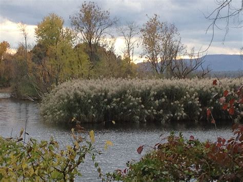 Where Fishkill Creek enters into the Hudson | Fishkill, Natural history, Nature