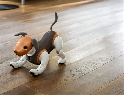 This Sony aibo Is a Cute Intelligent Dog Robot Pet