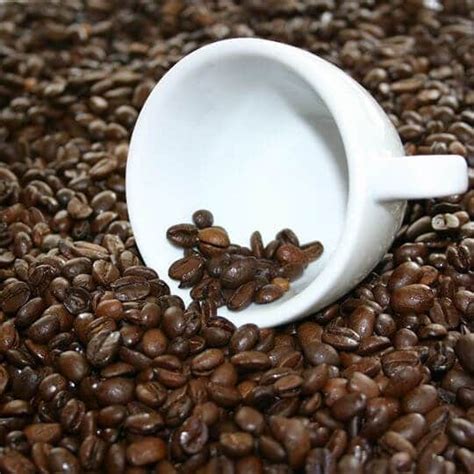 Harga Kopi Gayo Aceh Terbaru 2020