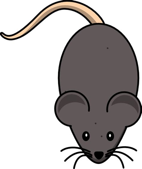 Mouse Clip Art at Clker.com - vector clip art online, royalty free ...