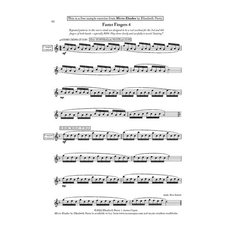 Parry Micro Etudes: Melodic Technique Exercises for Flute - Aurea Capra Editions