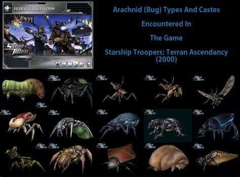 All the Bug types encountered in the strategy game Starship Troopers: Terran Ascendancy (2000 ...