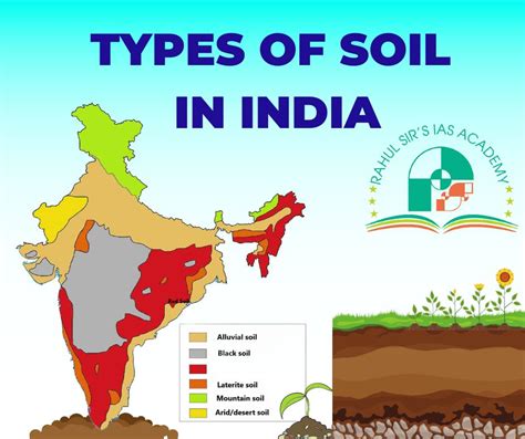 Types Of soil In India